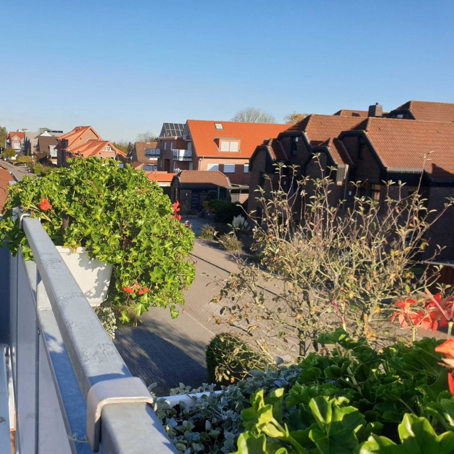 Horumersiel Sandweg zwischen grünem Gras, der zum ruhigen Meer führt unter blauem Himmel.